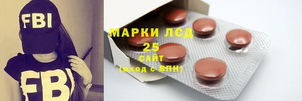 apvp Гусев