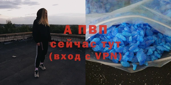 apvp Гусев