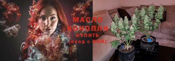 дмт Гусь-Хрустальный